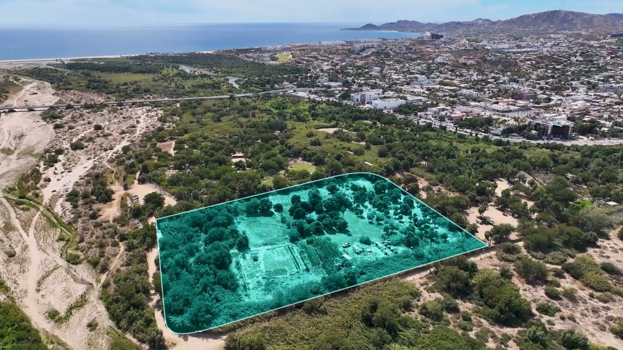 Organic Farm Lot for Sale in San Jose del Cabo 🌿 | Water Well + Prime Location!