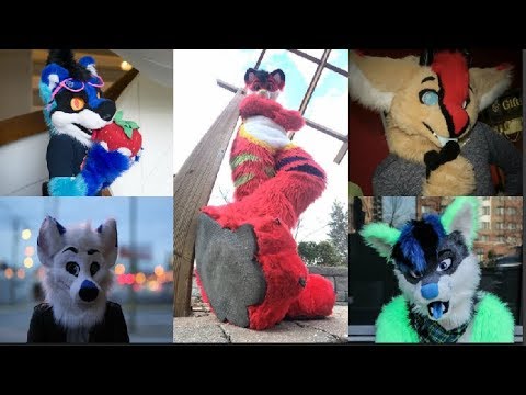 LaTE NiGHT FuRRY STReaM (w/ Rika, Mark, Kiwi, and Sweet) - LaTE NiGHT FuRRY STReaM (w/ Rika, Mark, Kiwi, and Sweet)