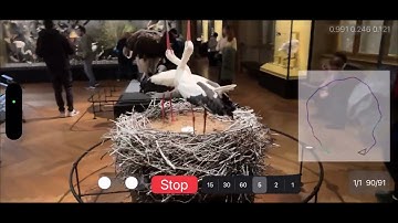 Sparse Voxels Rasterizer