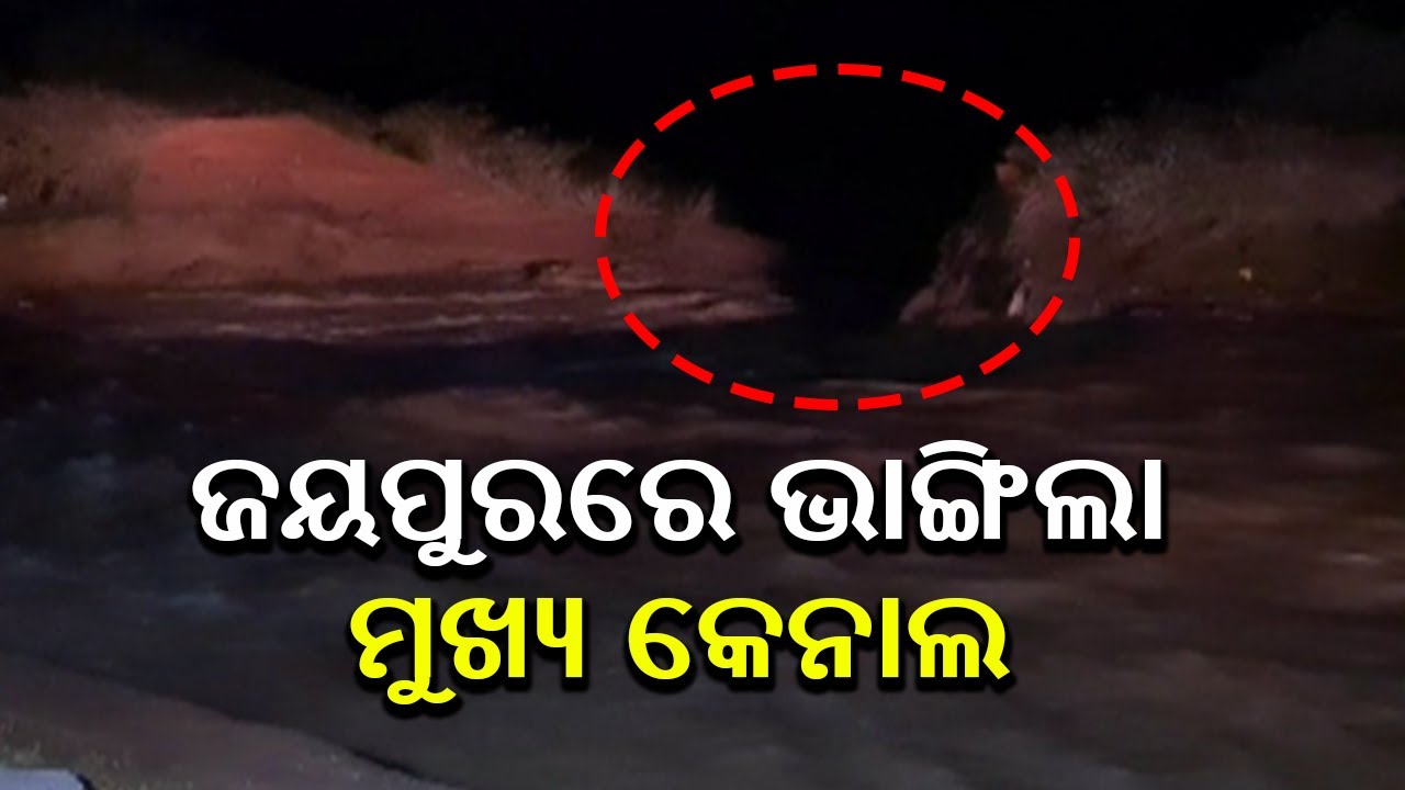 Canal Bridge Collapses In Odisha's Jeypore, Locals Panicked || KalingaTV