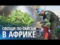 Южносуданцев учат выживать