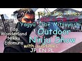Witness the Thrilling Battle of Ninjas at Edo-Time in Historic Nikko Edomura Wonderland Outdoor Show