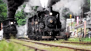 Cass Scenic Railroad: A Parade of Steam