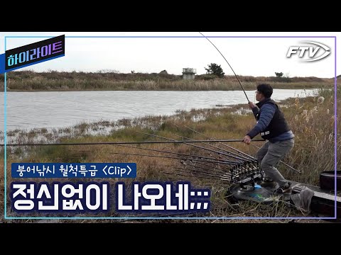 수로의 <strong>월척붕어</strong>![하이라이트/붕어낚시월척특급870회]