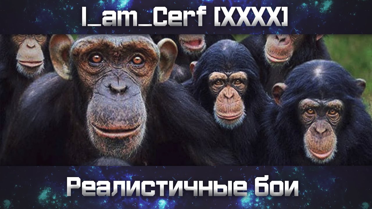 Реалистисные бои с приматами продолжаются!беру во взвод! - YouTube