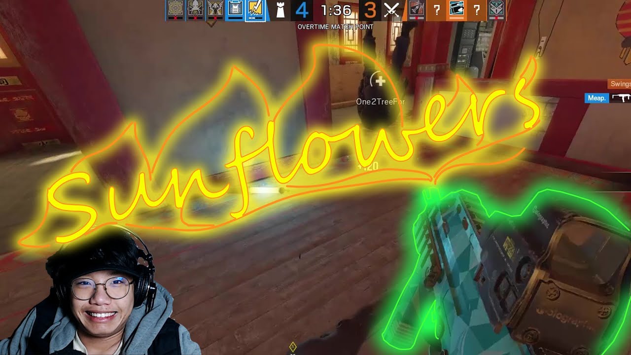 Sunflower R6 Kill Montage YouTube