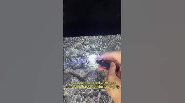 Mini and Zoomable! #shortvideo #flashlight