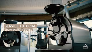 Service tutorial P series