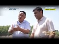 Ислоҳотлар амалда | Тошкент вилояти, Пискент туманида олиб борилаётган ислоҳотлар