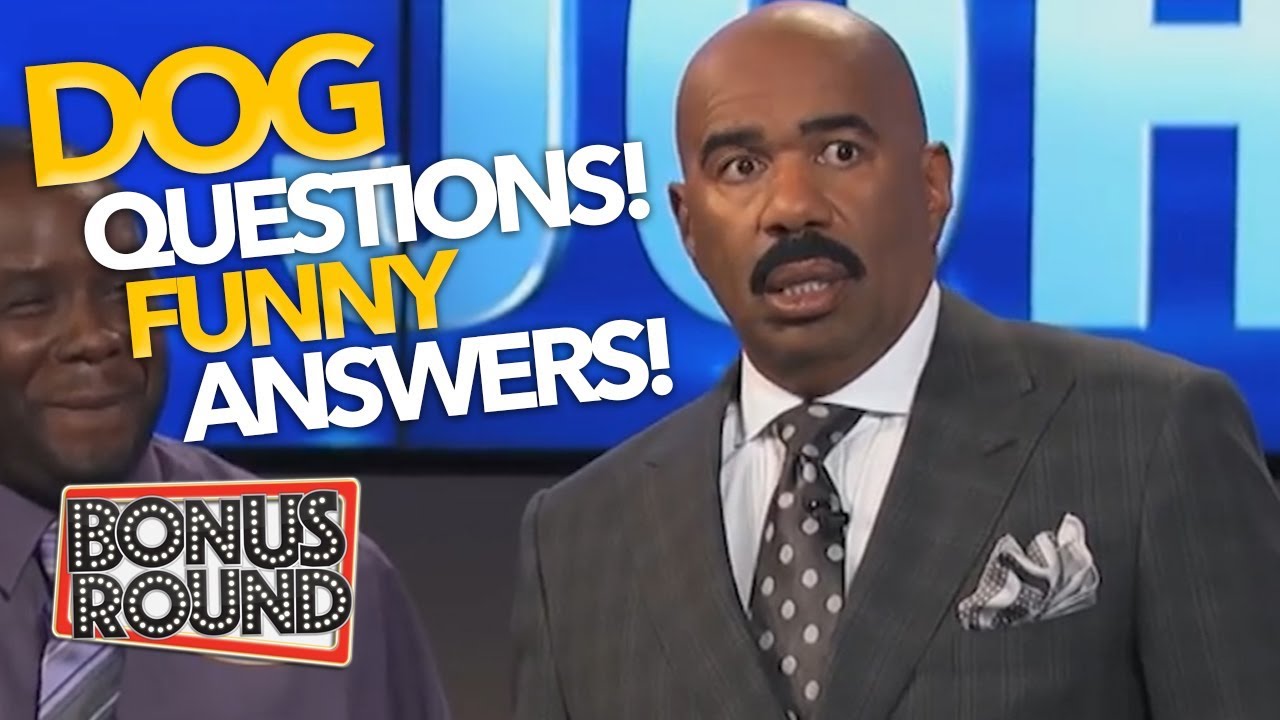 STEVE HARVEY ASKS...'NAME SOMETHING YOUR DOG' Funny Answers From Family...