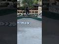 Serve the base