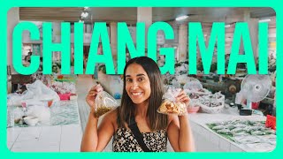 Thailand Street Food Tour! (Bugs, Frog & Northern Eats) | Chiang Mai Travel Vlog