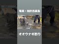 【巨大】オオウナギを釣る#鈴木拓#マルコス #加計呂麻島 #奄美大島 #釣り#オオウナギ