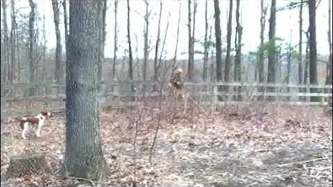 Bree Steady to Flush