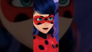 Funnydancescene Mr.pigeon