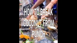 Famous How to break coconut with one punch #Dhoolpetbalveersingh #PAHELWANIVSBODYBUILDING Net Worth