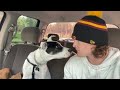My Puppy went on his first adventure!!!