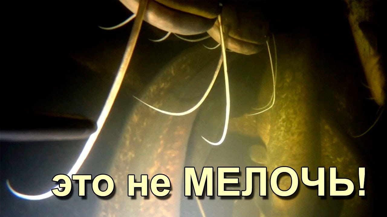 Подводная охота. Мелочи!