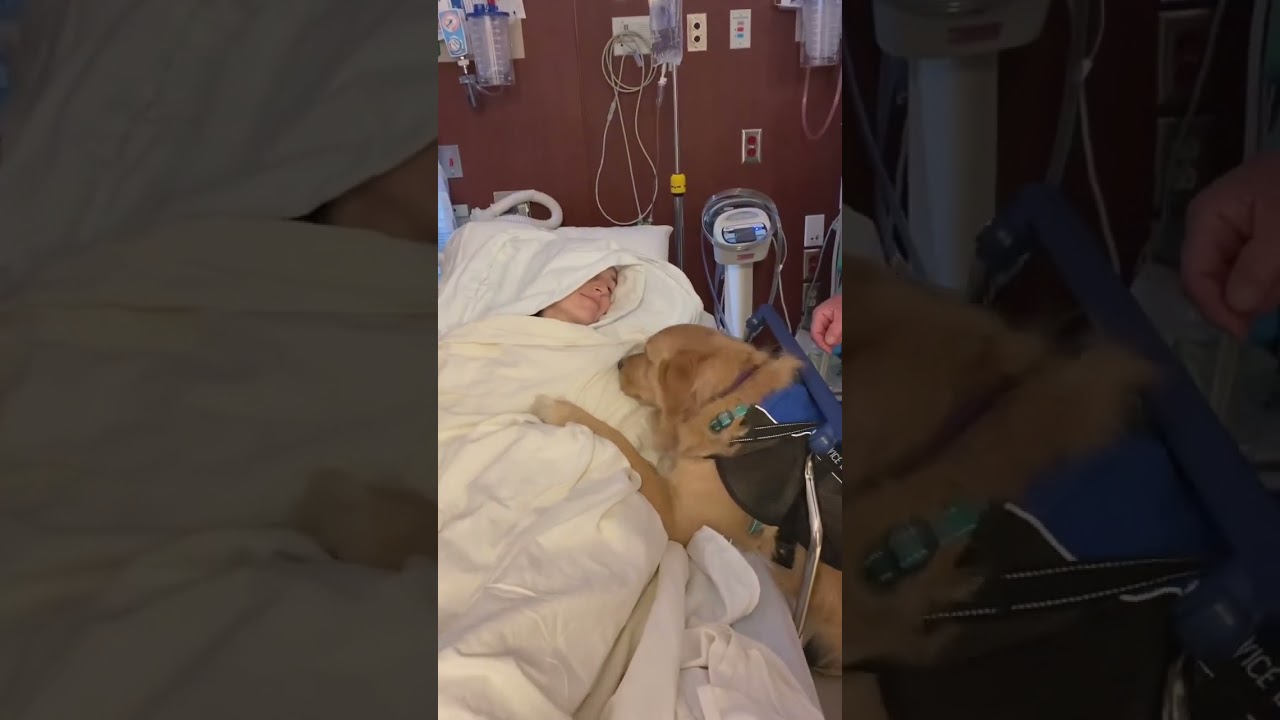 CRPS Awareness Month:  Day 2