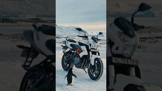 #benelli #superbike #shorts #youtubeshorts #penguin #viral