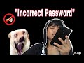 Incorrect password  prasanna lama 