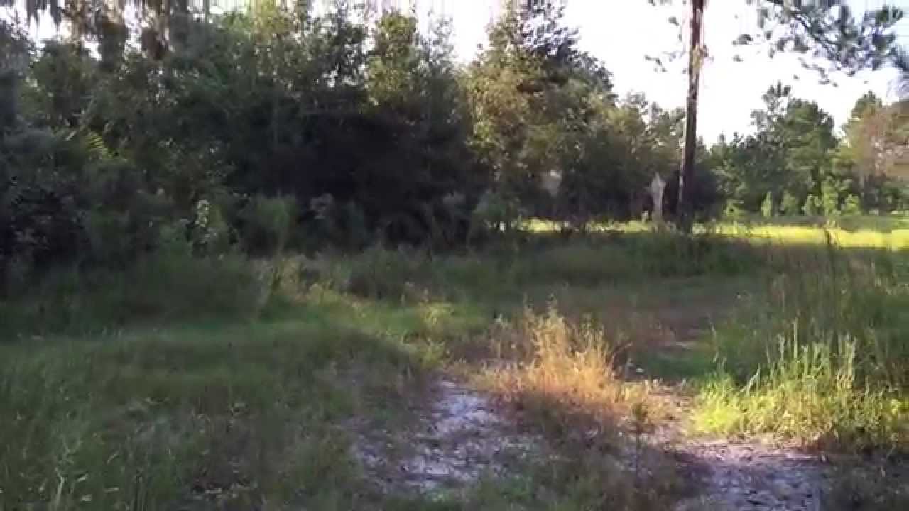 Markham Woods Tract in Seminole County YouTube
