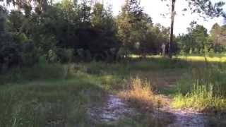 Markham Woods Tract in Seminole County