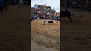 Villalon De Campos Salto Moli  Brava #Shorts (1)