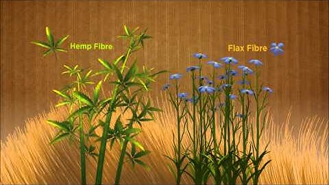 Biocomposites