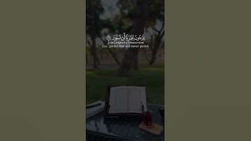 سورة فاطر - الشيخ سعد الغامدي #قرآن #قران_كريم #المصحف #اكسبلور
