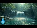 Healing Piano Music 🌿 Forest Bathing & Nature Sounds for Relaxation ヒーリングピアノ