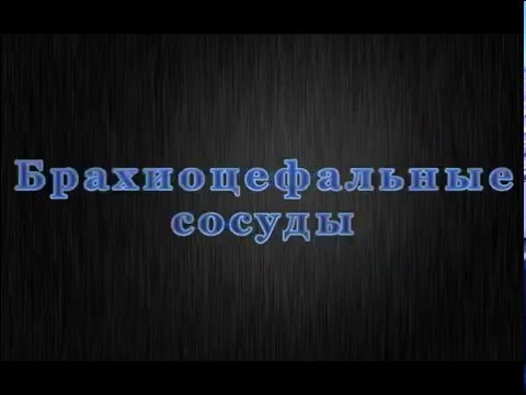 Брахиоцефальные сосуды