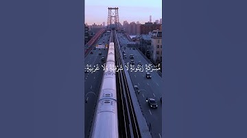الشيخ ياسر الدوسري | سورة النور #قرآن
