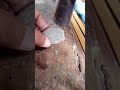 Breaking this suspected crab fossil stone