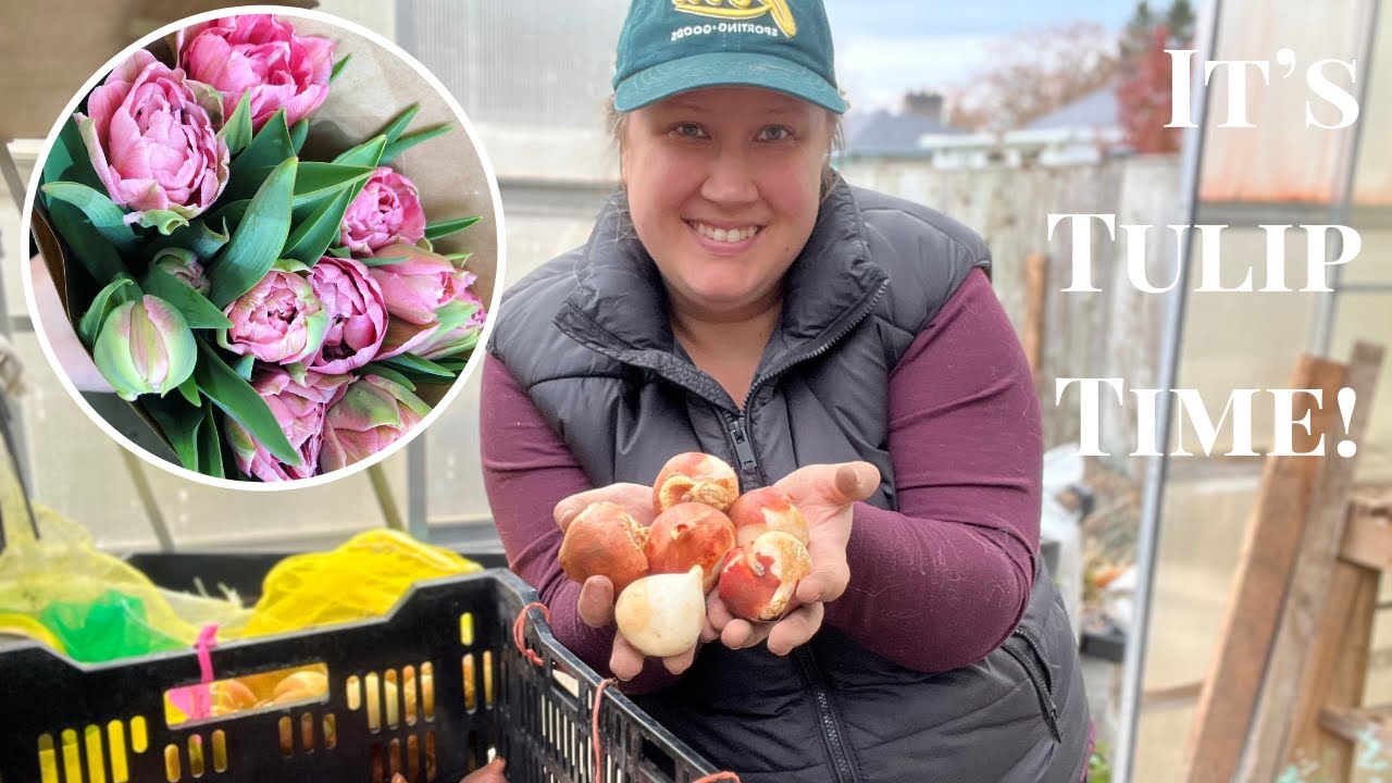 It's Tulip Time! // Planting Tulips in Crates for Earlier Blooms