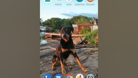 Using Adobe Scan and Blackboard apps