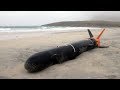 15 Strangest Things Found on the Beach