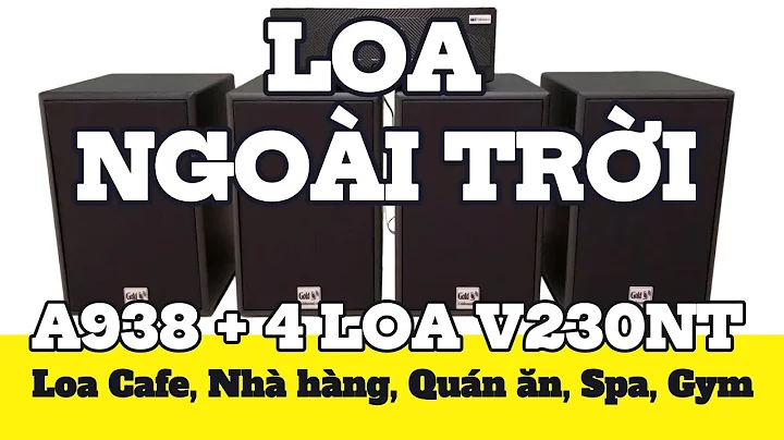 Loa sân vườn, loa chống nước lắp cho nhà hàng, Gym, quán cafe…(Amply A938 + loa V230NT