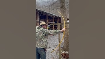 Osage is king #novembersouth  #selfbow #primitiveskills #bushcraft #traditionalarchery