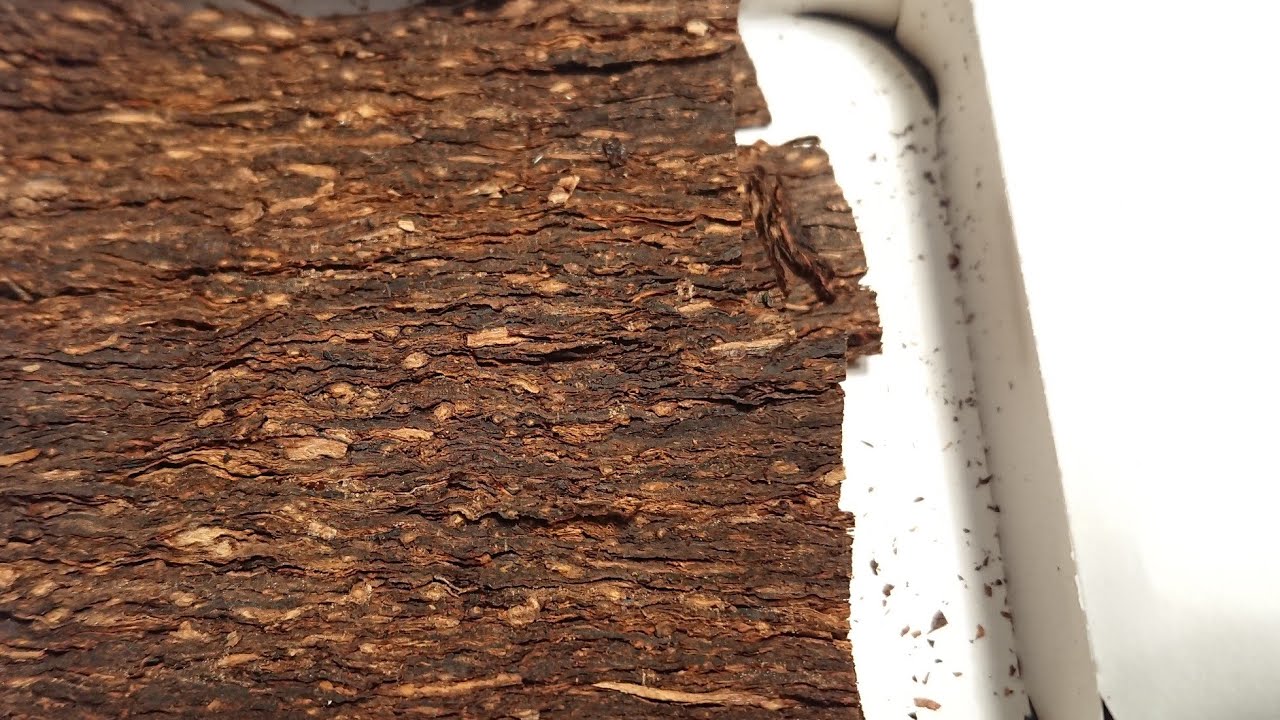 UN VIRGINIA STREPITOSO! Scottish Flake Mcconnell - Parte 2