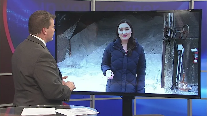 Elizabeth noon live shot