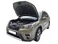 Установка газового упора капота Subaru Forester 5