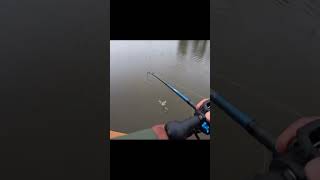 Lol I Was Too Hype For This Catch.