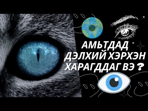 Видео: Facebook Messenger дээр найз нөхөд, холбоо барих 3 арга