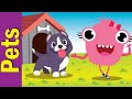 I Have A Pet Pets And Animals Song For Kindergarten Fun Kids English I Have A Pet Pets And Animals Song For Kindergarten Fun Kids English