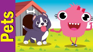 I Have a Pet | Pets and Animals Song for Kindergarten | Fun Kids English