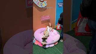 I Found A Giant Squishmallow Bed! #cats #pets #shorts #dogs #vlog