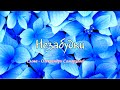 Незабудки пісня на слова Олександри Самарцевої Незабудки пісня на слова Олександри Самарцевої