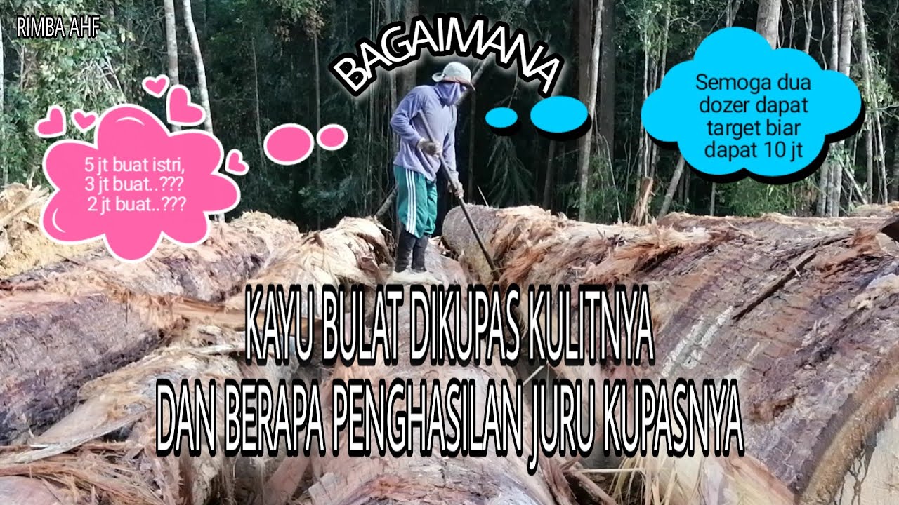 Bagaimana kayu  bulat  dikupas kulitnya dan berapa 