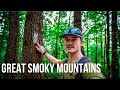 My First Day in Great Smoky Mountains – Driving Tail of the Dragon &amp; Hiking Shuckstack Fire Tower